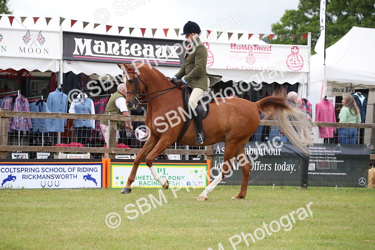 SBM_03628 - Class 21 - 22 - Ridden Arab and Part Bred/Anglo Arab