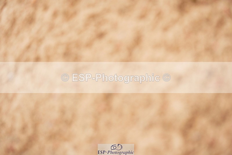 240524A-124752-03636 - Cls 16 Snr 1.20m Open