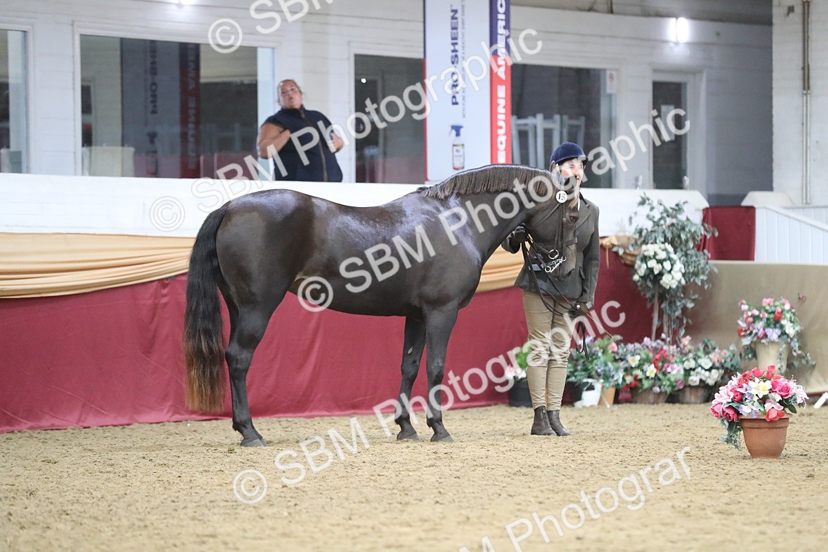 SBM_15159 - Class 501 M&M IH Supreme Final