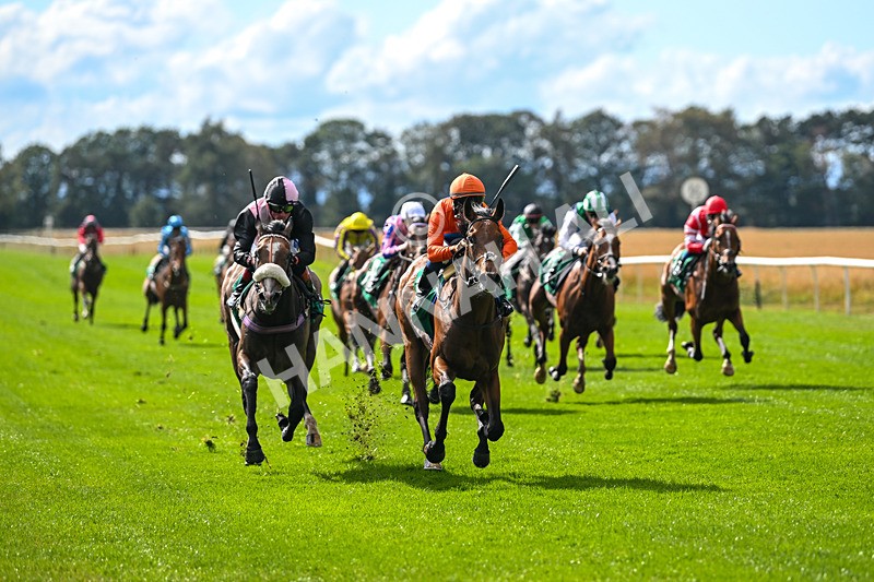 290825-Race 3-Be The Standard-8593 - Race 3