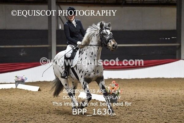 BPP_1630 - PC GRASSROOTS DRESSAGE