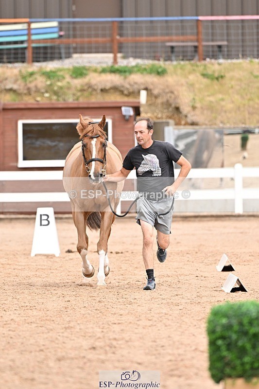 250716-153931-02083 - Trot Up 3.30 to 4.30