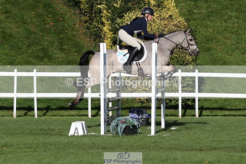 231022-102359-24501 - 619-GARVAGH.GOLDEN.OAK-Ella.Snow-TrotUp+SJ