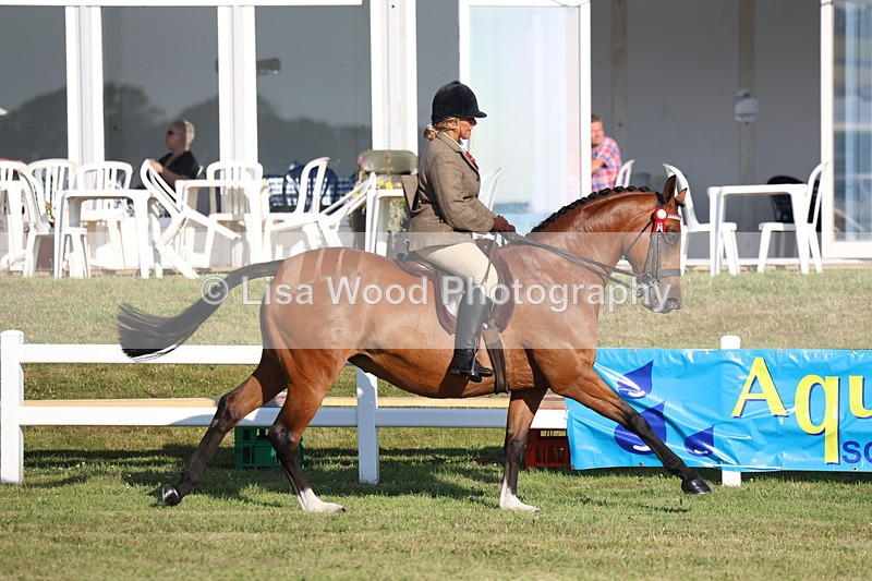 3E7A4991 - Class 1: Rising Star Small Hack/Riding Horses