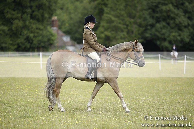 BVR160717-1282 - Ring 1 BVRC Show 16/07/17