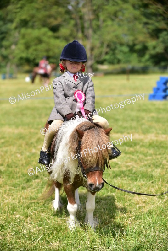 20260614-1333 - Class 11a - Lead Rein Pony (Unplaited)