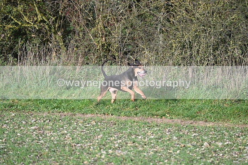 WJ7_3509 - Camera A