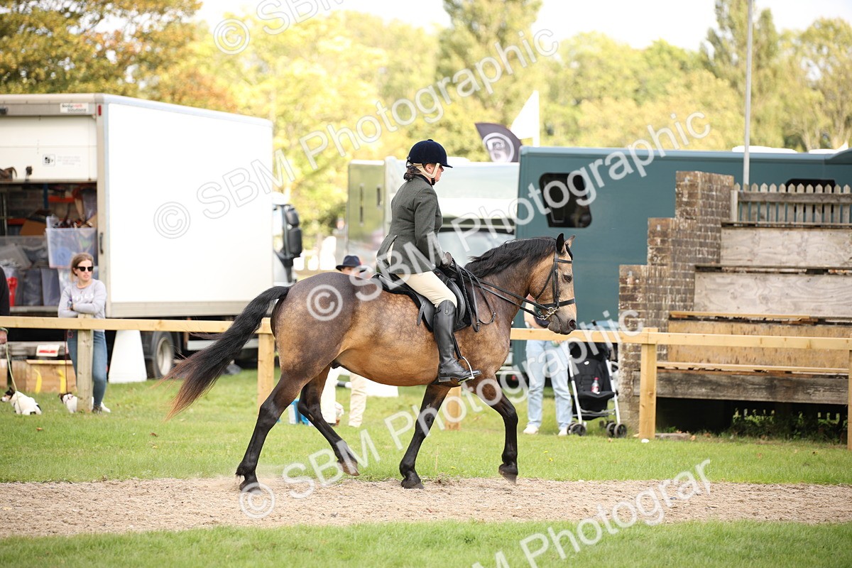 SBM_49998 - S26 - Young Veteran - Ridden