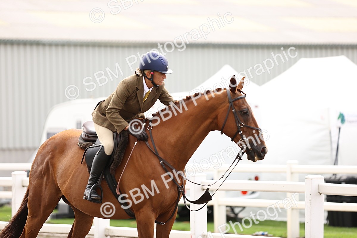 SBM_00652 - Class 53 - Ridden Competition Horse Pony