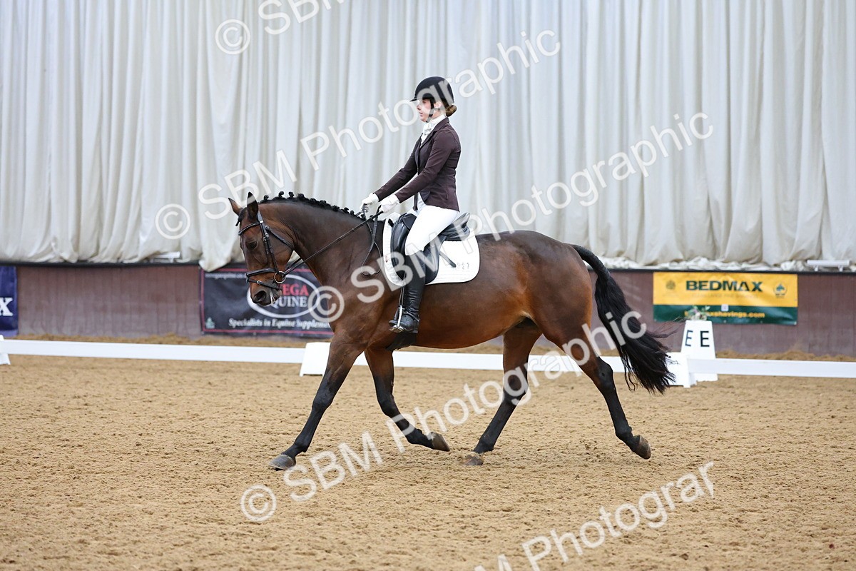 SBM_002010 - Class 5 - Novice 3