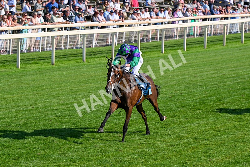 100726-Race 7-Green Sky-0477 - Race 7 17.40pm William Hill Best Odds Guaranteed Apprentice Handicap