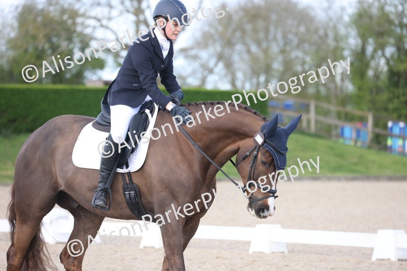 20260405-0300 - Class 3 - Novice 5