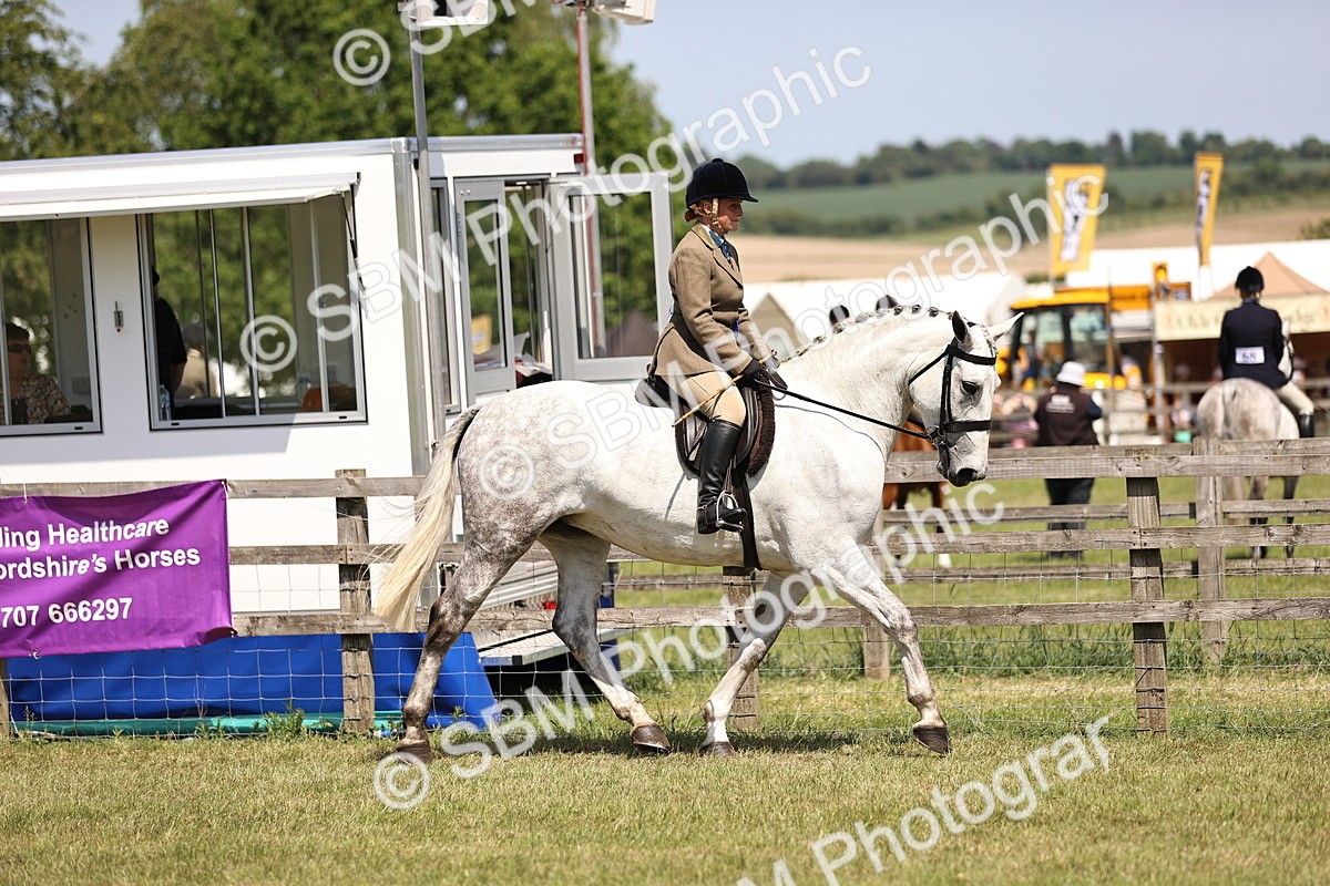 SBM_16211 - Class 79-80 - LIHS BSHA Rising Star Ridden Hunter