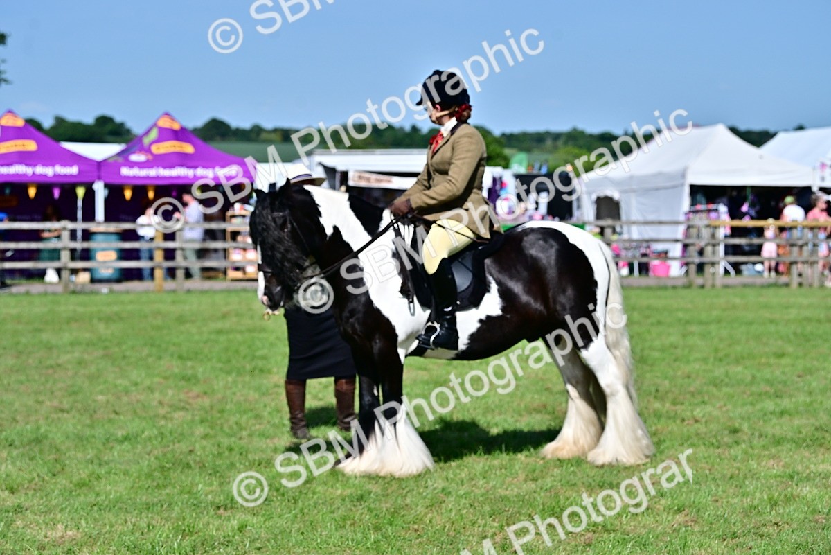 SBM_09370 - Class 63-65 - Traditional Gypsy Cobs In Hand & Ridden