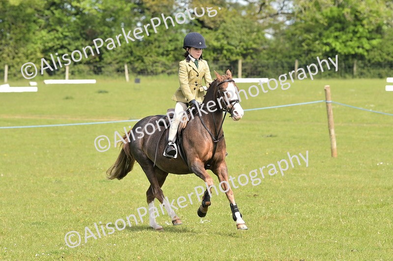 20260426-2267 - Class 20 - Beginner Working Hunter