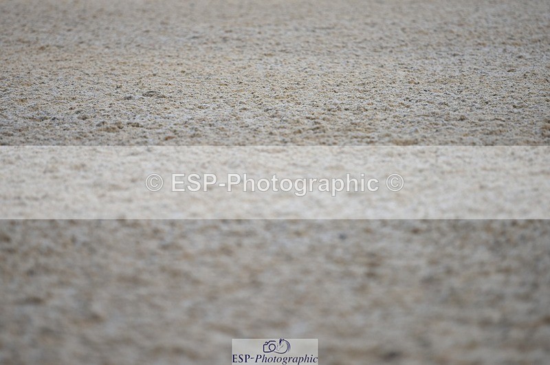 230909-074218-03966 - Cls 15 British Novice & 90cm Open