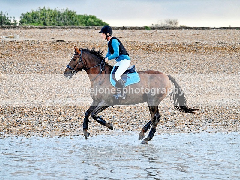 WJ7_3863 - Edited Examples