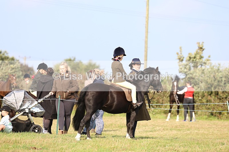 3E7A3727 - Class 2: Lead rein
