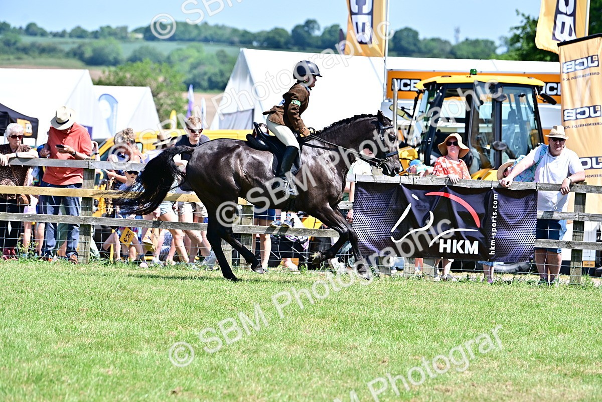 SBM_15399 - Class 95-97 - BSPS LHS Performance Ponies