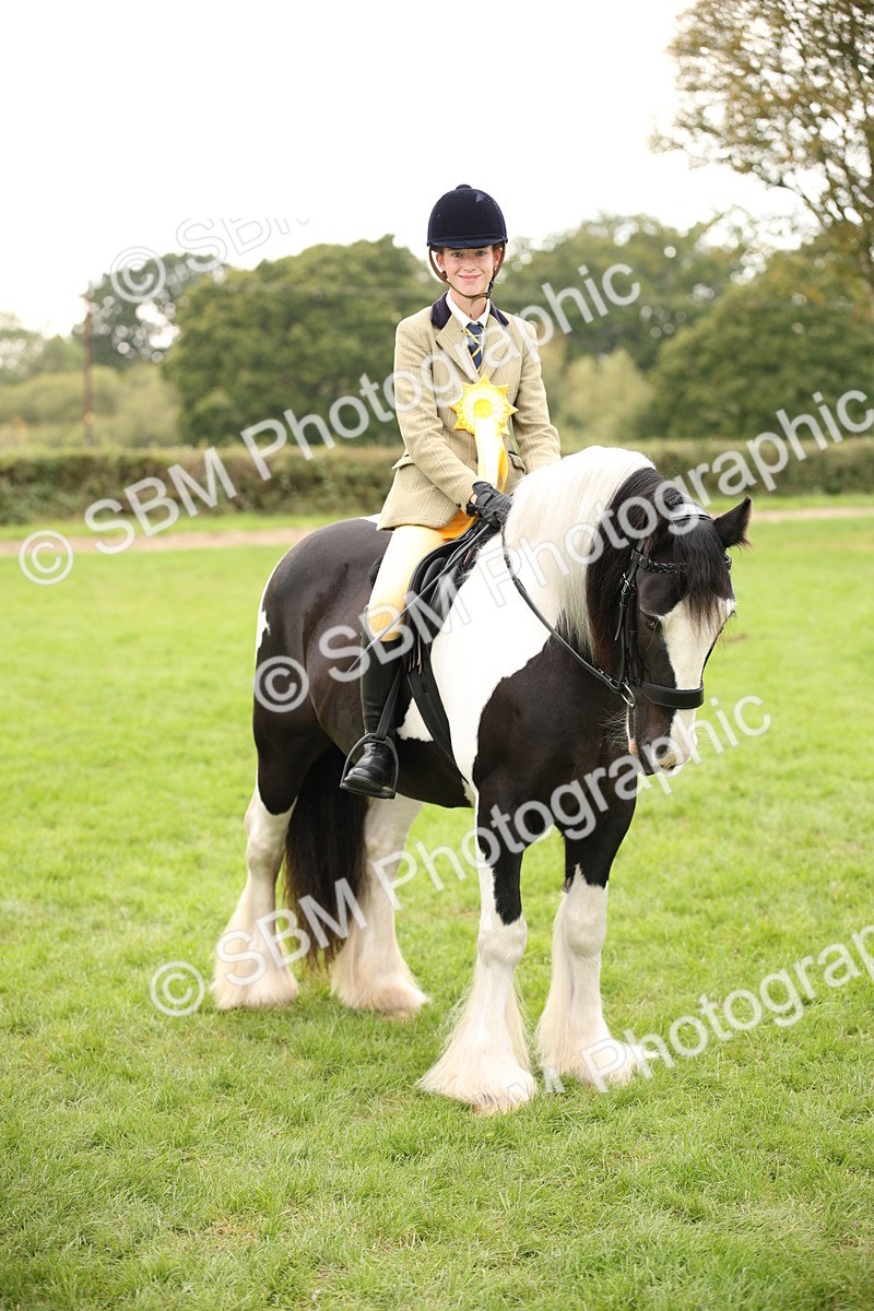 SBM_73588 - S68 - Traditional Cob Ridden