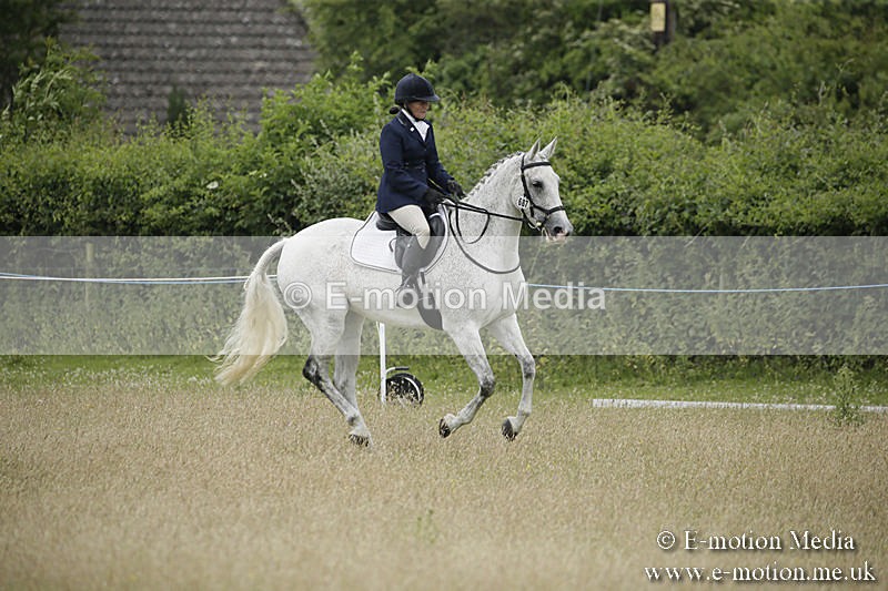 B230619-0848 - Bourne Valley Riding Club Summer Show 23/06/19