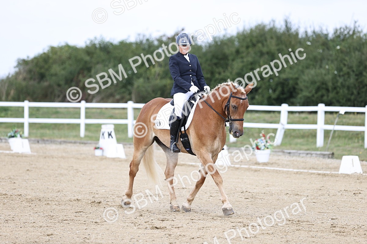 SBM_016778 - Class 14 Novice 23 - 11.53-12.56