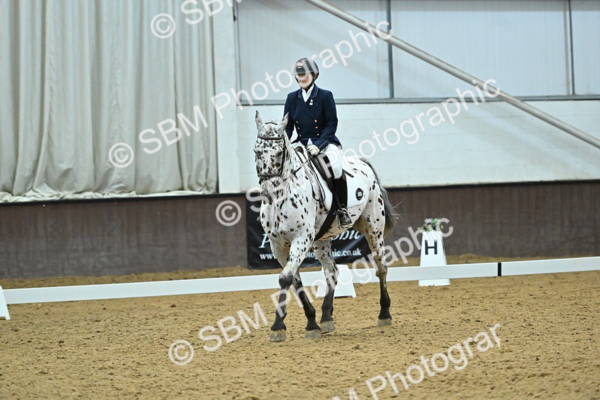 SBM_007499 - Class 81 - Novice 3