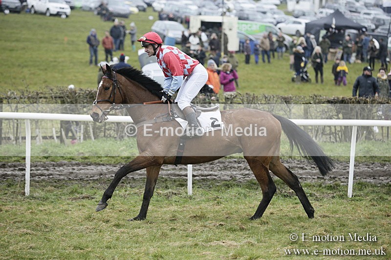 PtP 020418 -97 - Old Berks Point-to-Point Races Easter Monday 02/04/18