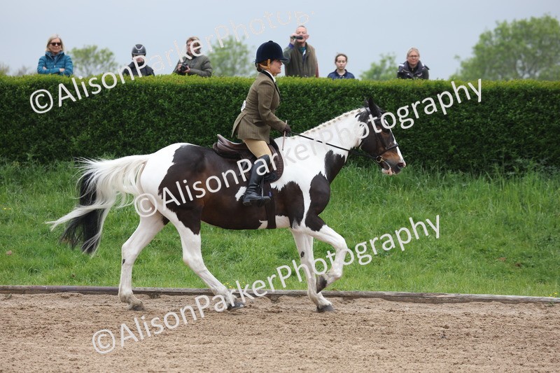 20260504-1016 - Class 14 - Cob and Hunter