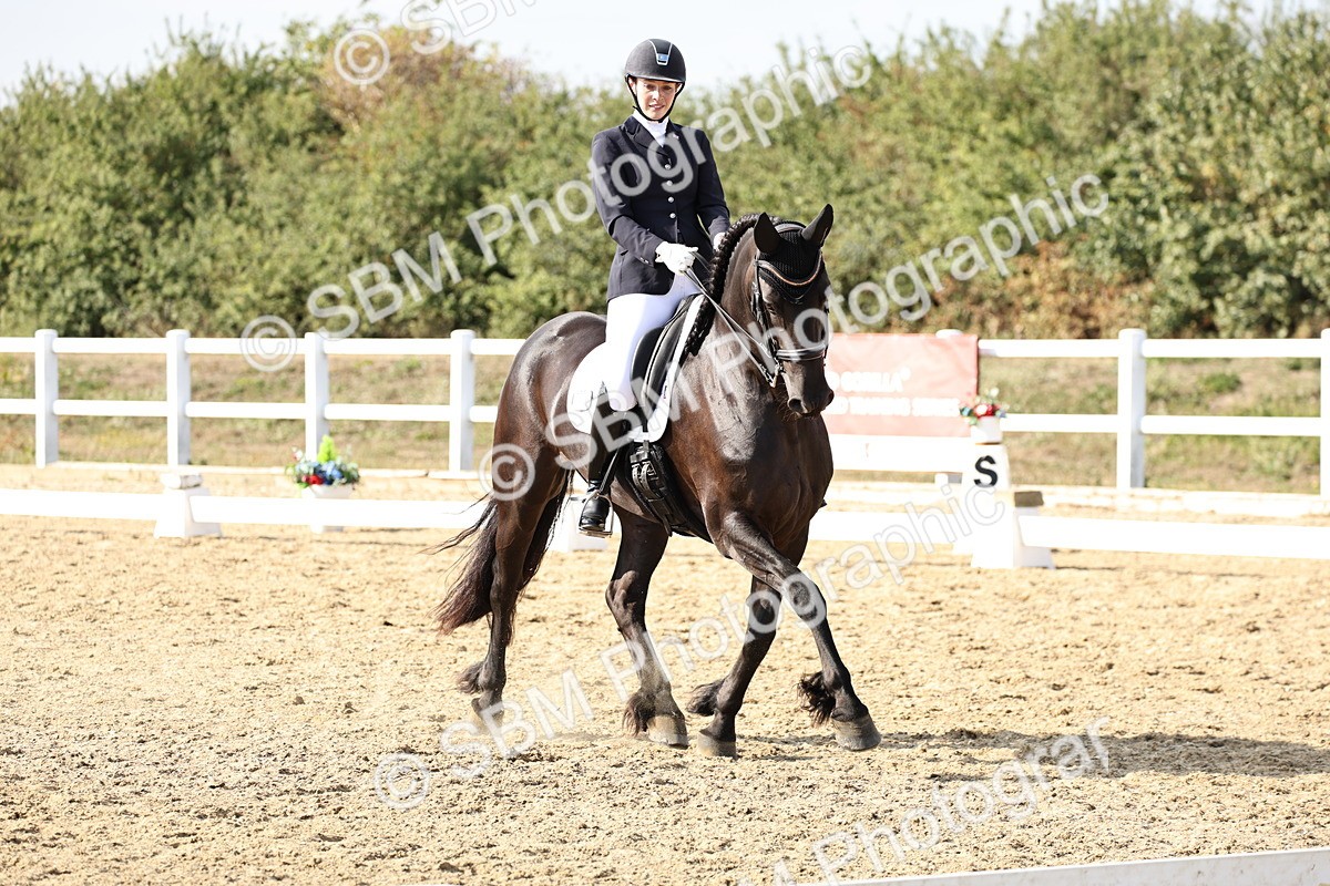 SBM_015391 - Class 9 - Advanced medium 3