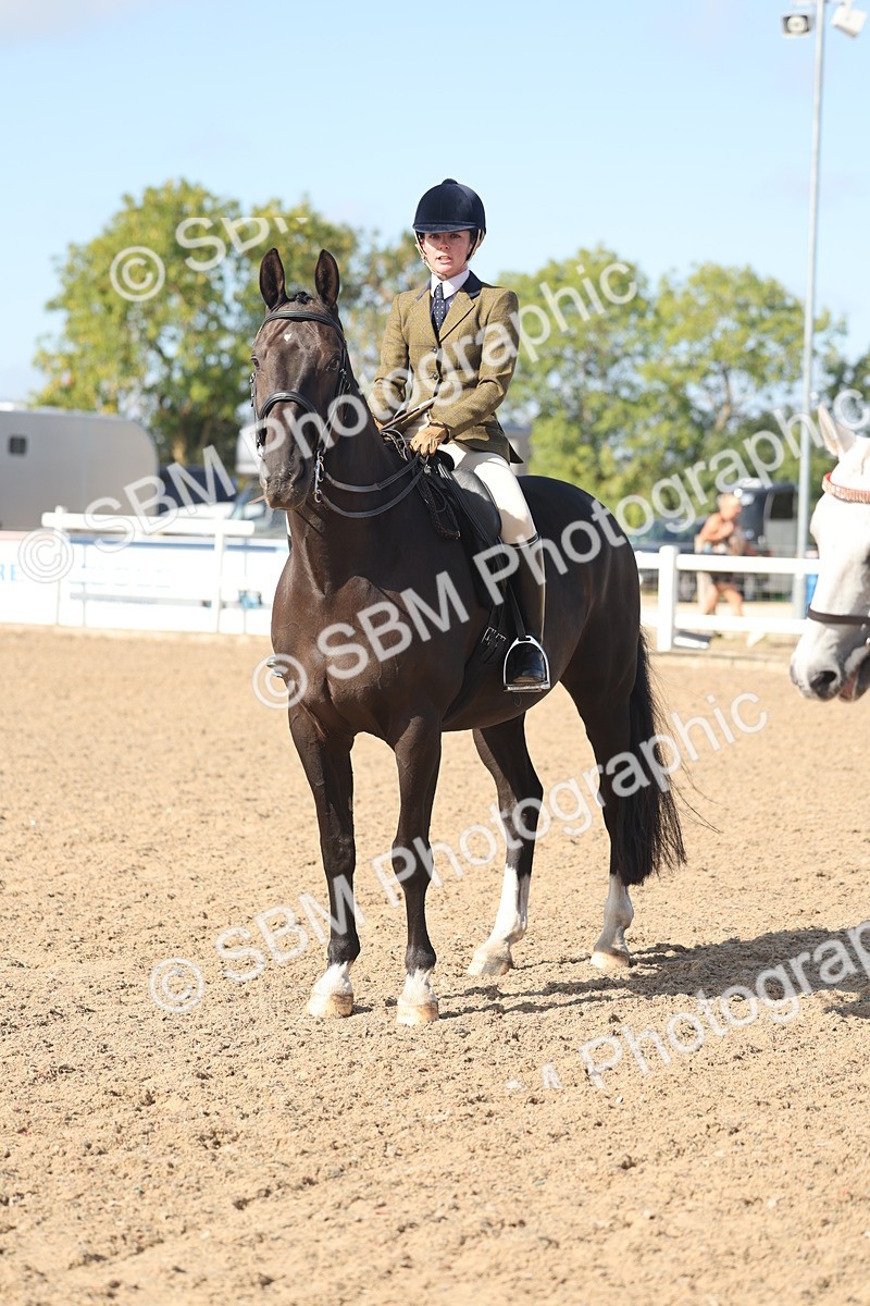 SBM_22674 - Class 805 - Ridden Veteran Horse
