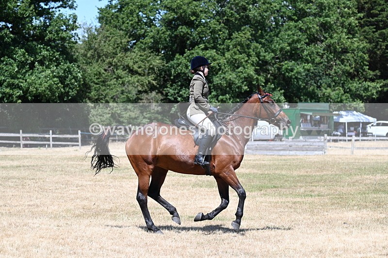 WJ7_3089 - Class 7 Riding Club Show Horse