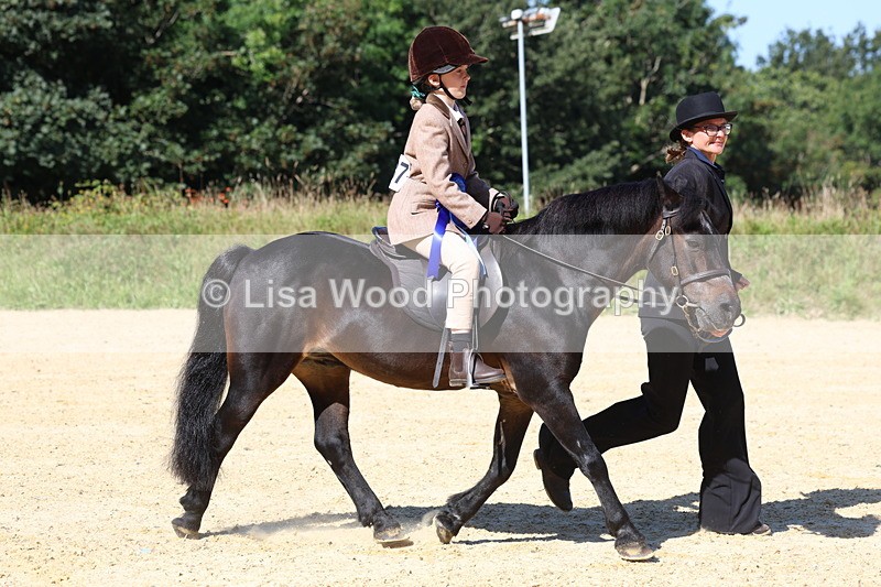 3E7A8081 - Class 15: Lead Rein