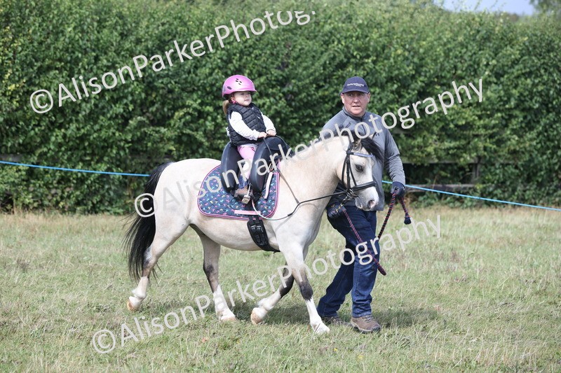 20250831-3286 - Class 24 - Absolute Beginners Pony