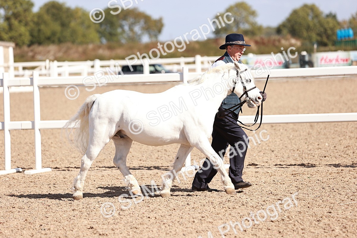 SBM_22896 - Class 706 - IH Veteran
