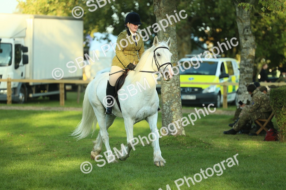 SBM_55619 - S14 - Riding Club Horse