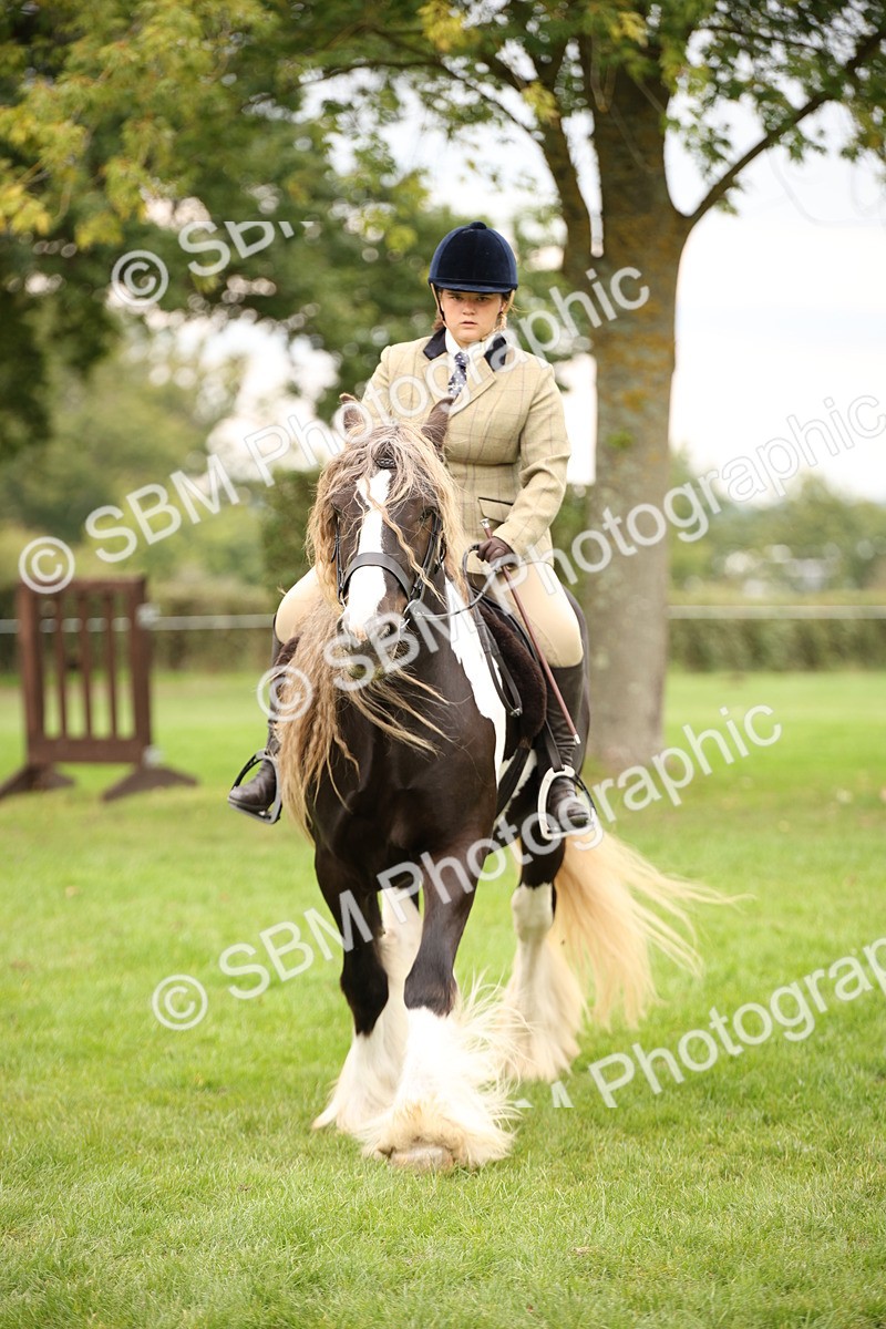 SBM_73501 - S68 - Traditional Cob Ridden