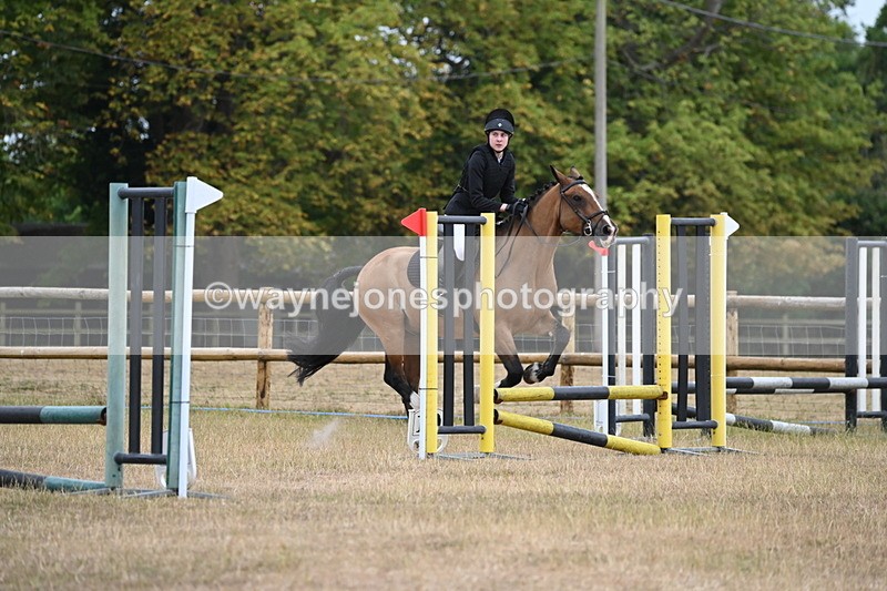 WJ6_0190 - Class 13 Novice Jumping 60cm