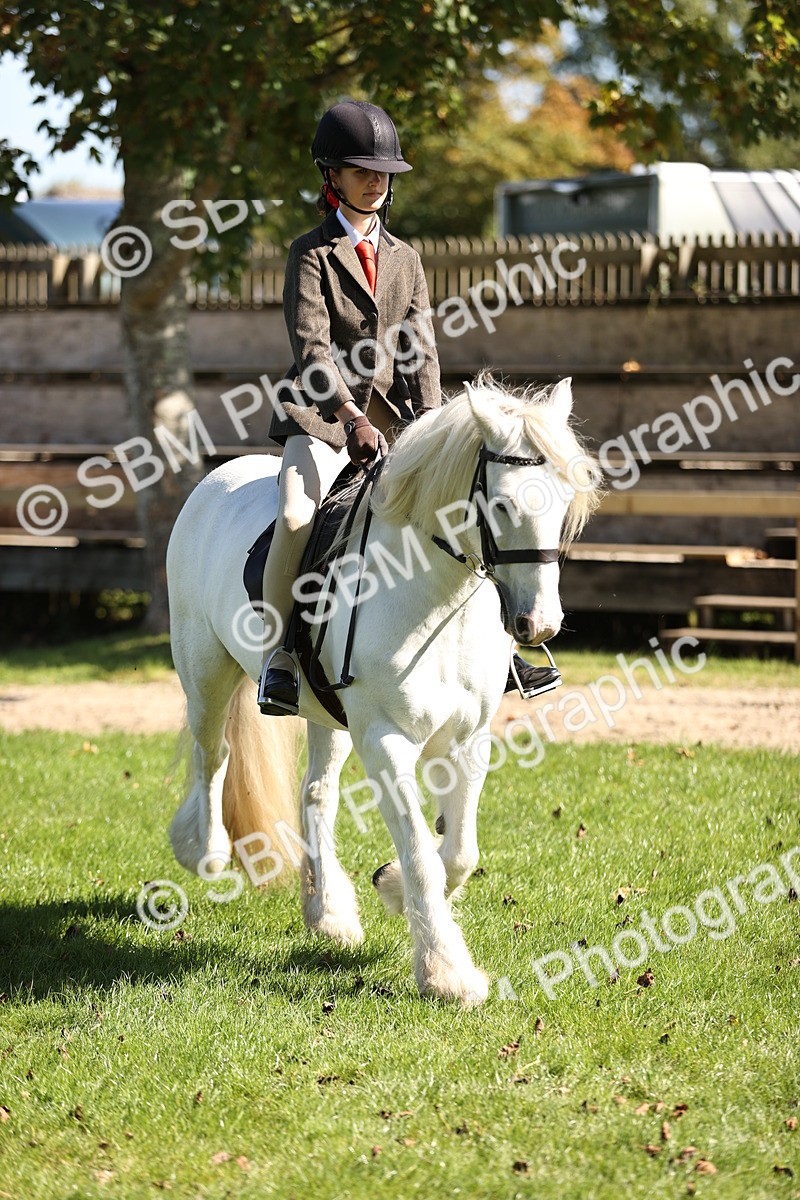 SBM_19325 - S3 - TSR Ridden Pony Showing