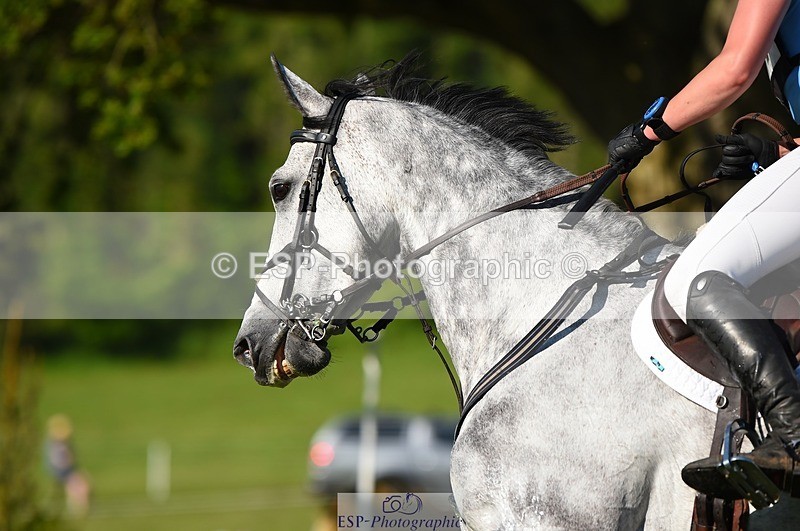 230527-175822-13693 - 167-COR_Y_TARAN-Toots_Bartlett-XC