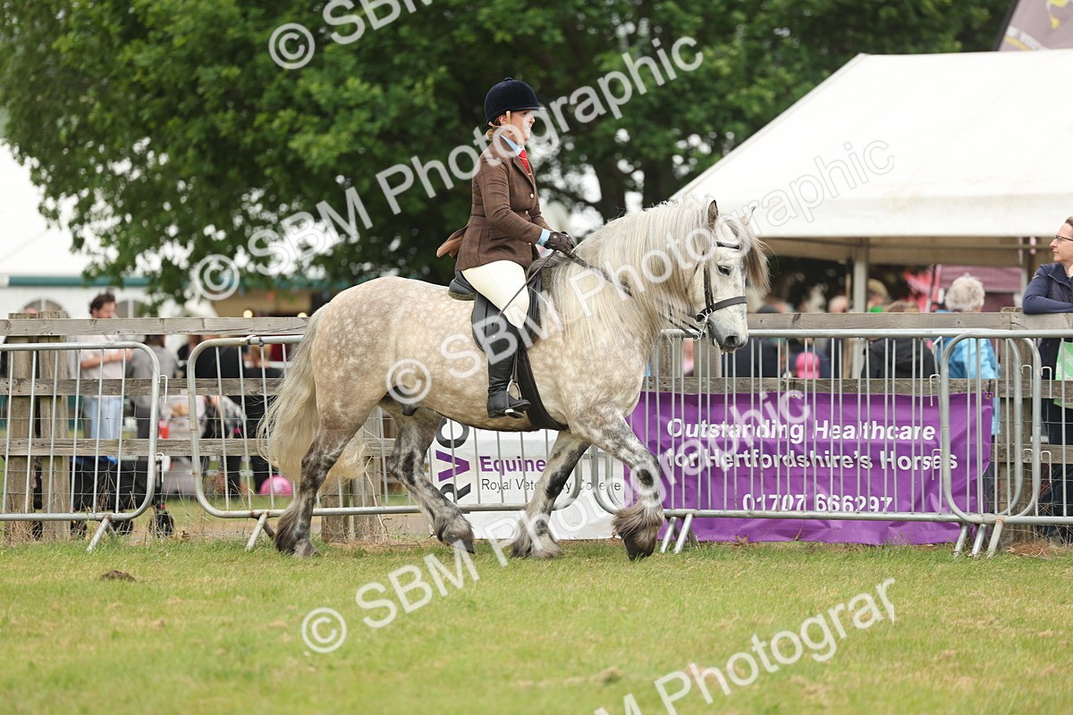SBM_08942 - Class 78-80 - Ridden M&M Non Welsh Ponies
