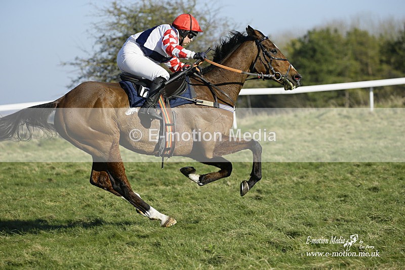 PtP 270222 236 - South & West Wilts Point-to-Point Larkhill 27/02/22