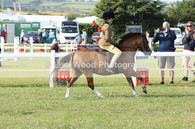 JPP_0551 - Class 15: Cornish Combination First Ridden