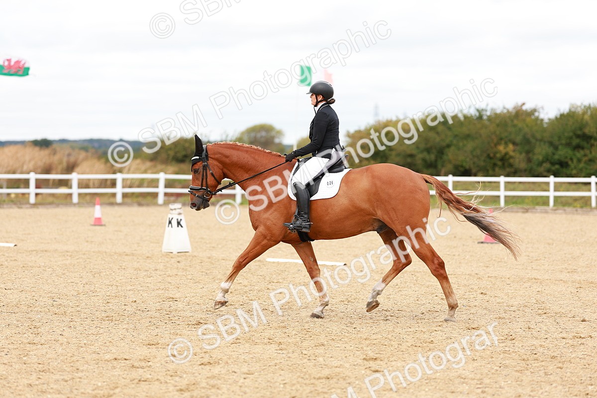 SBM_001895 - Class 5-6 - Novice 3-Elem 3