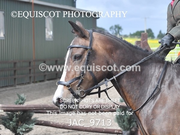 JAC_9713 - CLASS 2 Novice Working Hunter (0.60m - 0.70m)