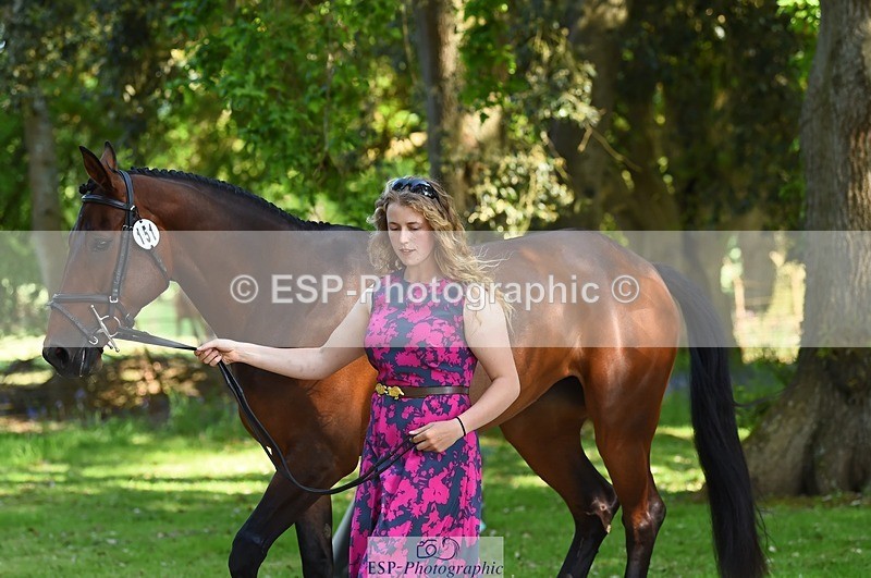 230524-162750-00889 - 151-GREANNANSTOWN_QUARRYMAN_GIRL-Grace_Taylor-WEDTrotUp+DR