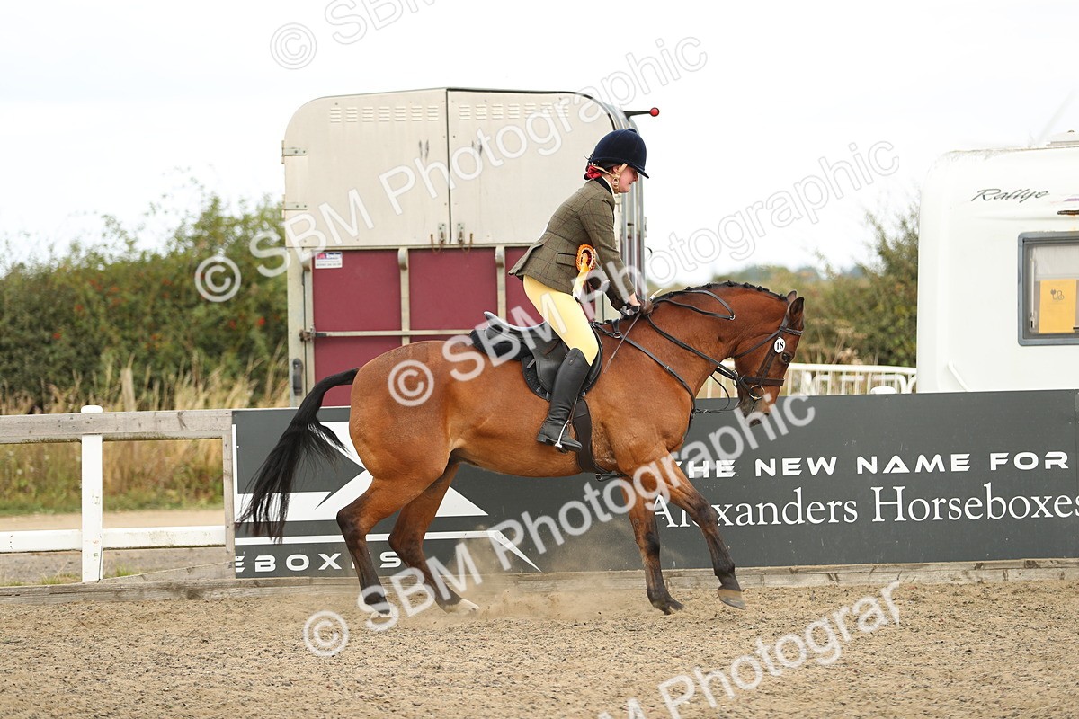 SBM_04900 - Class 47a Style & Performance 60cm (15-19)