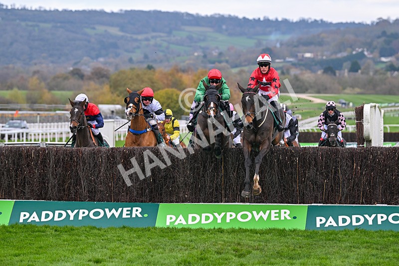 161124-Race 2-The Newest One-9590 - Race 2