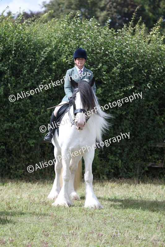 20250831-4335 - Class 20 - Ridden Coloured