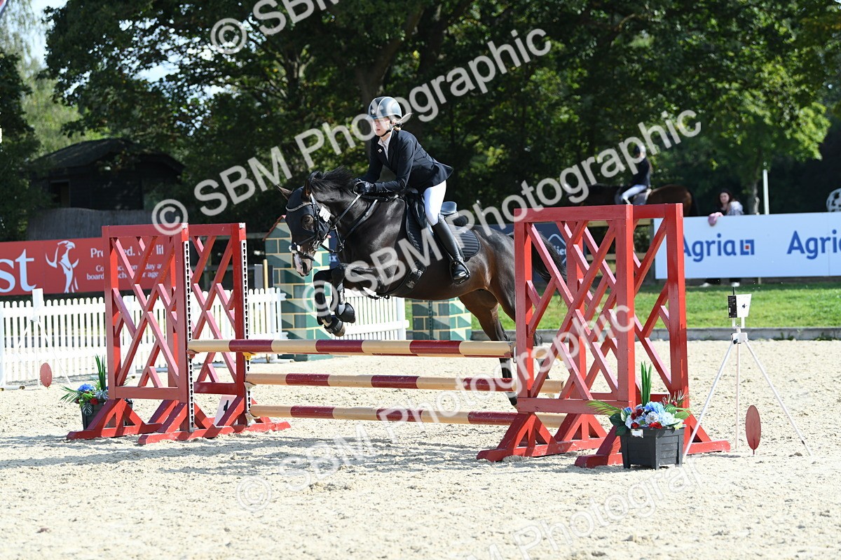SBM_61743 - j25 - Junior Horse 80cm Championship